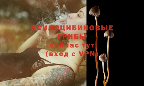 MESCALINE Богданович